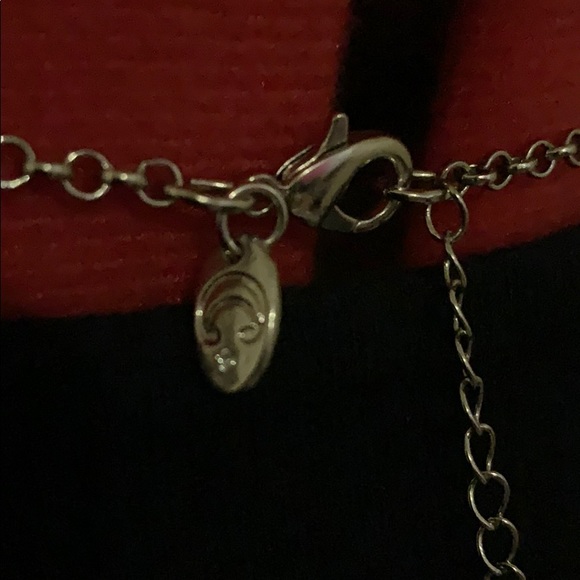 Charming Charlie necklace and earrings set. - Picture 8 of 8